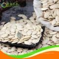 8-10cm shine skin middle size pumpkin seeds